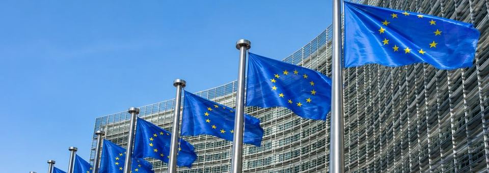 Europaflaggen vor einem modernen Gebäude